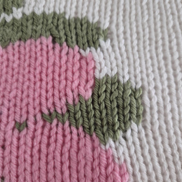 Chickee Poo Baby Blanket