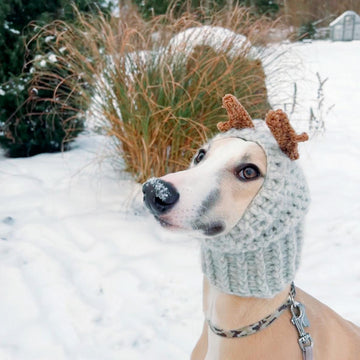 Doggo no 8 snood