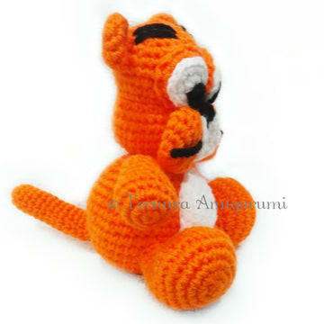 Tiger baby