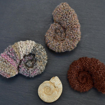 Ammonite