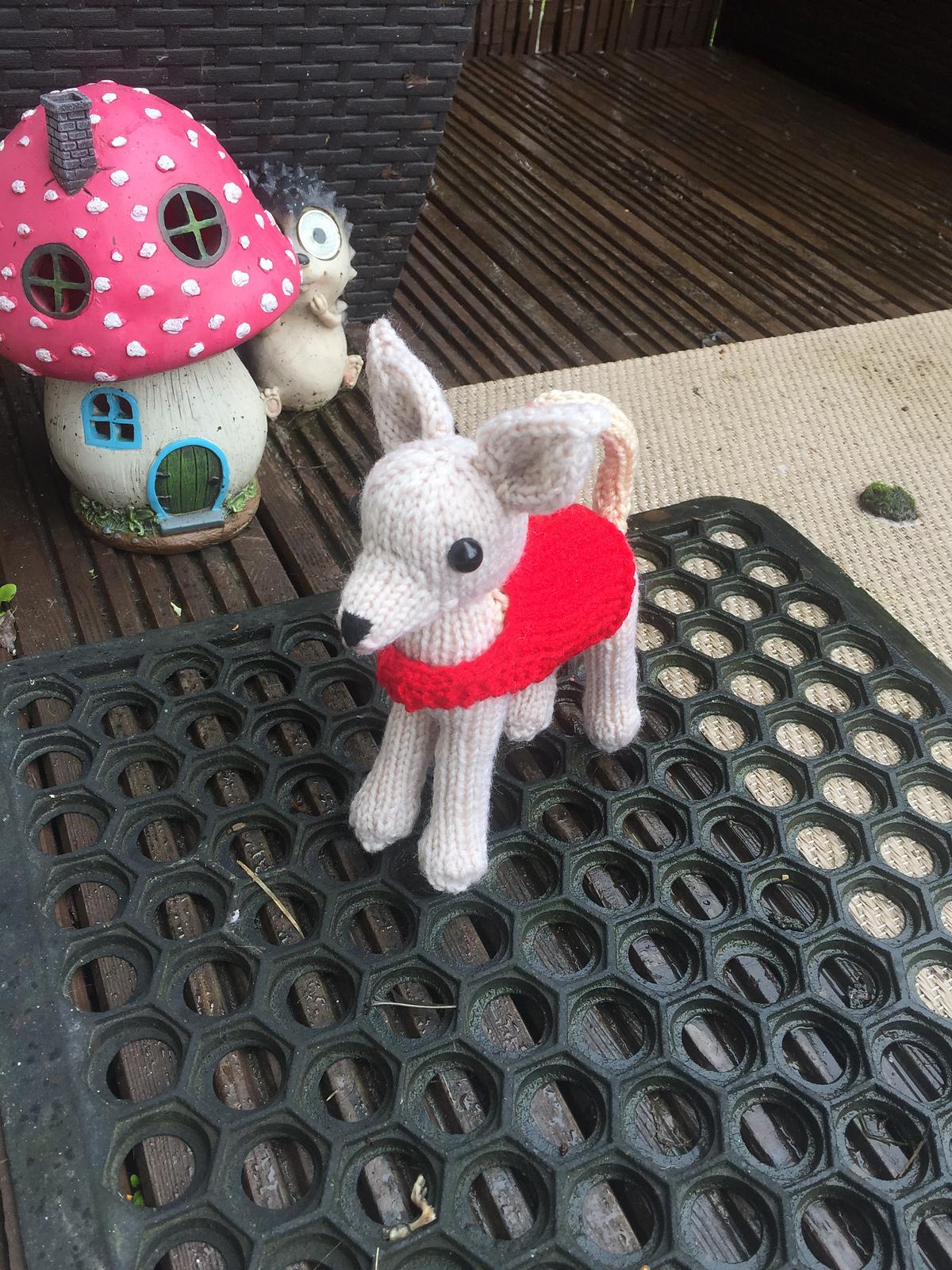 Chico the Chihuahua