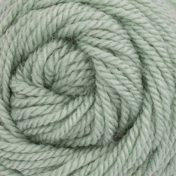 Eucalyptus (80)