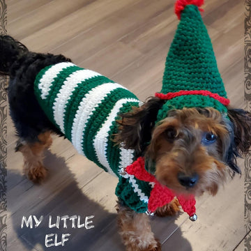 Elf Dog Sweater