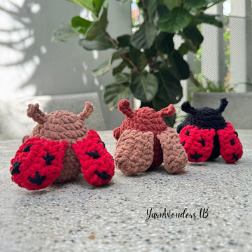 Ladybug and Cockroach