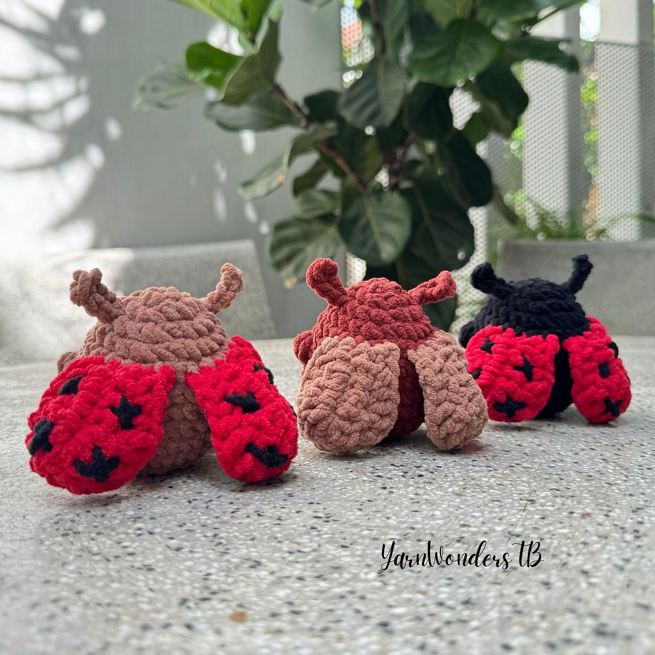 Ladybug and Cockroach