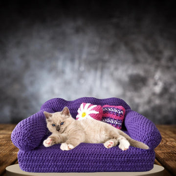 Cat couch
