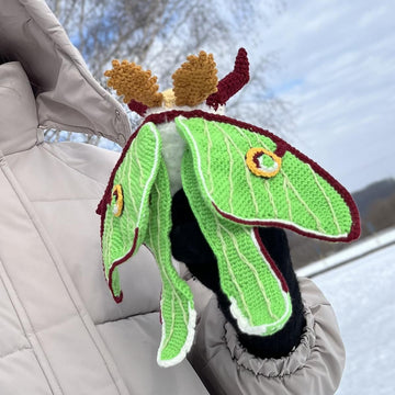 Luna Moth
