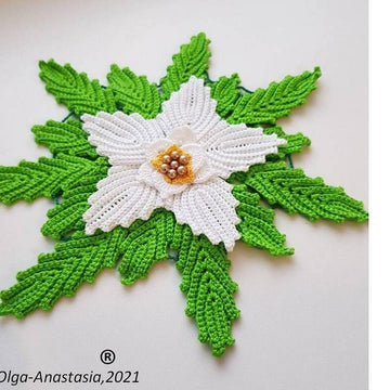 Poinsettia  white