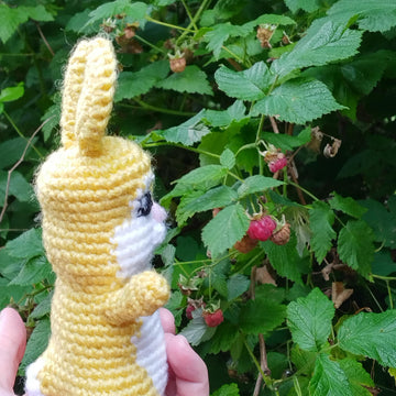 Crochet Bunny Happy Hops from My story book Who wants Happy Hops's Toothbrush?