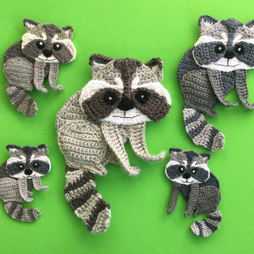 Raccoon