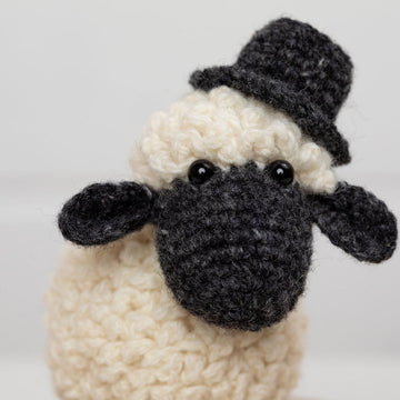 Sheep Mr and Mrs