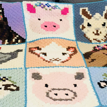 Sadie the Pig C2C Graphgan Blanket Square
