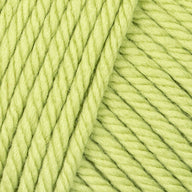 Spring Leaf (10)