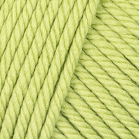 Spring Leaf (10)