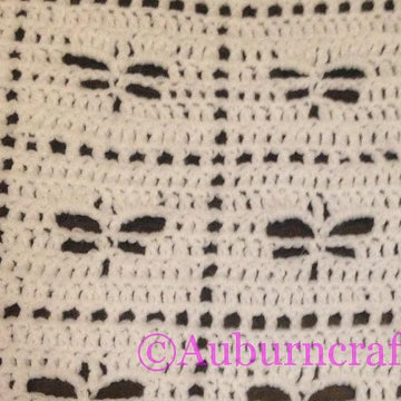 Dragonfly Blanket