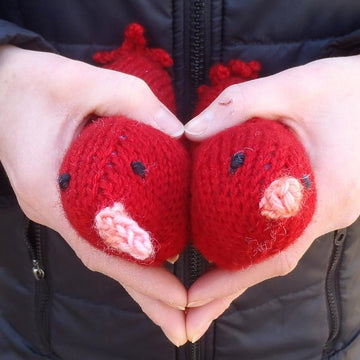 Love Birds