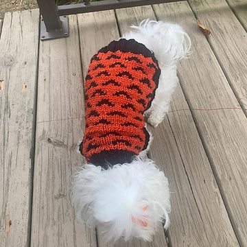 Going Batty Dog Sweater