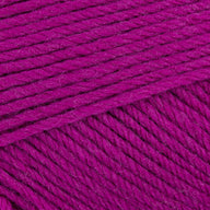Raspberry (22)
