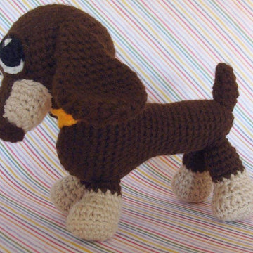 Dachshund puppy dog