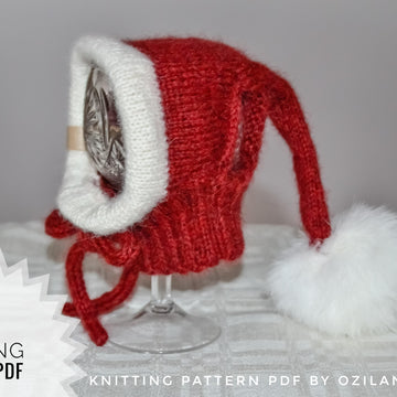 Santa dog hat