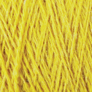 marigold
