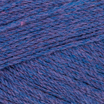 Concord Grape Pie (356)