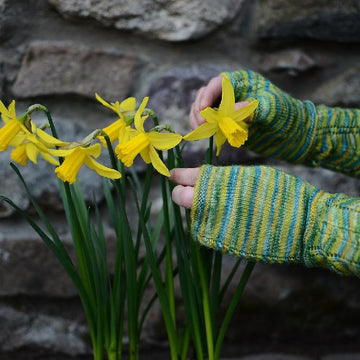Remember the Daffodils