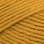 Goldenrod (Goldenrod)