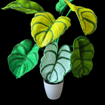 Crochet Dragon Scale Alocasia plant