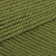 Fern (672)