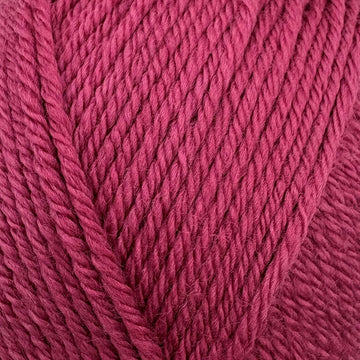 Raspberry (1023)