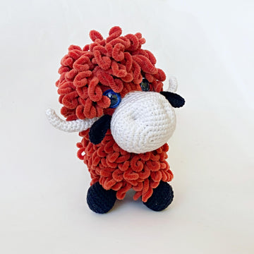 Highland cow