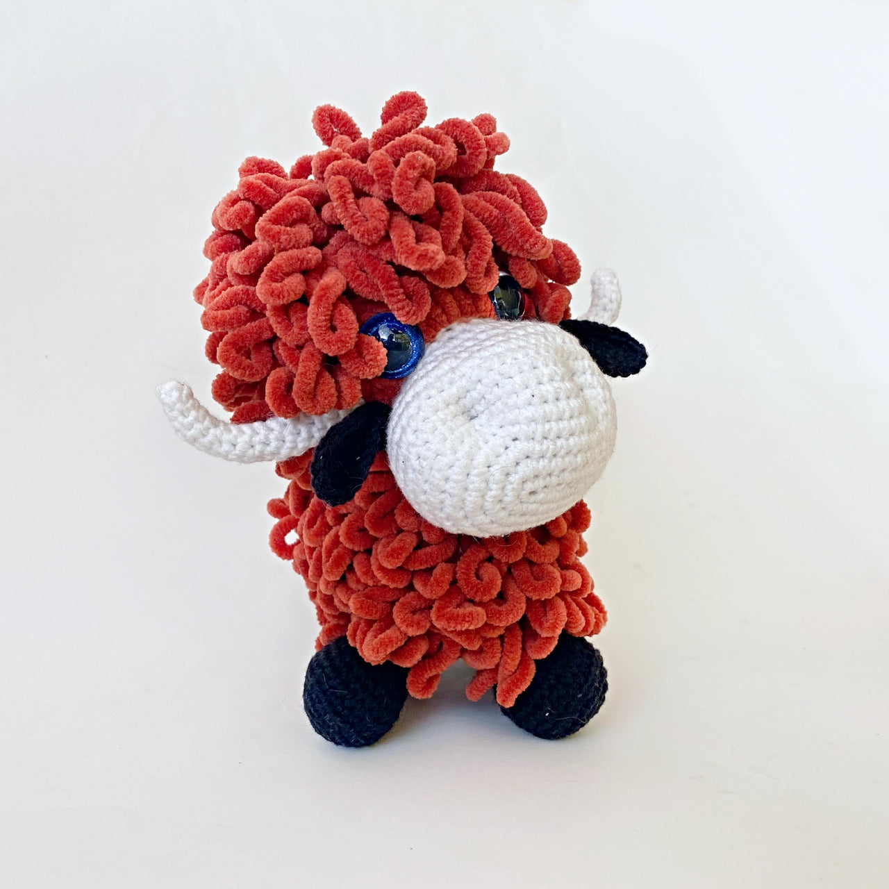 Highland cow