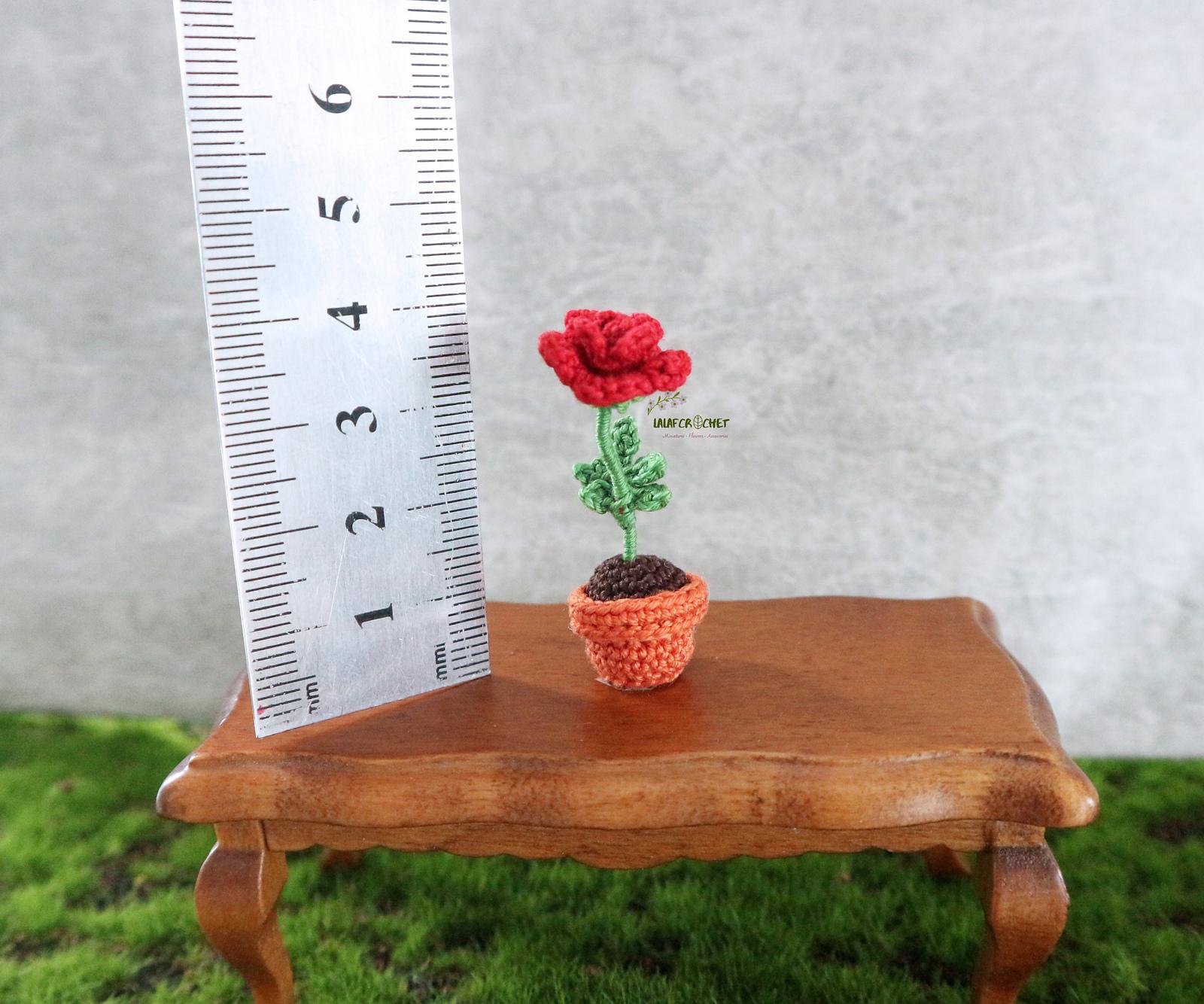 Miniature potted rose