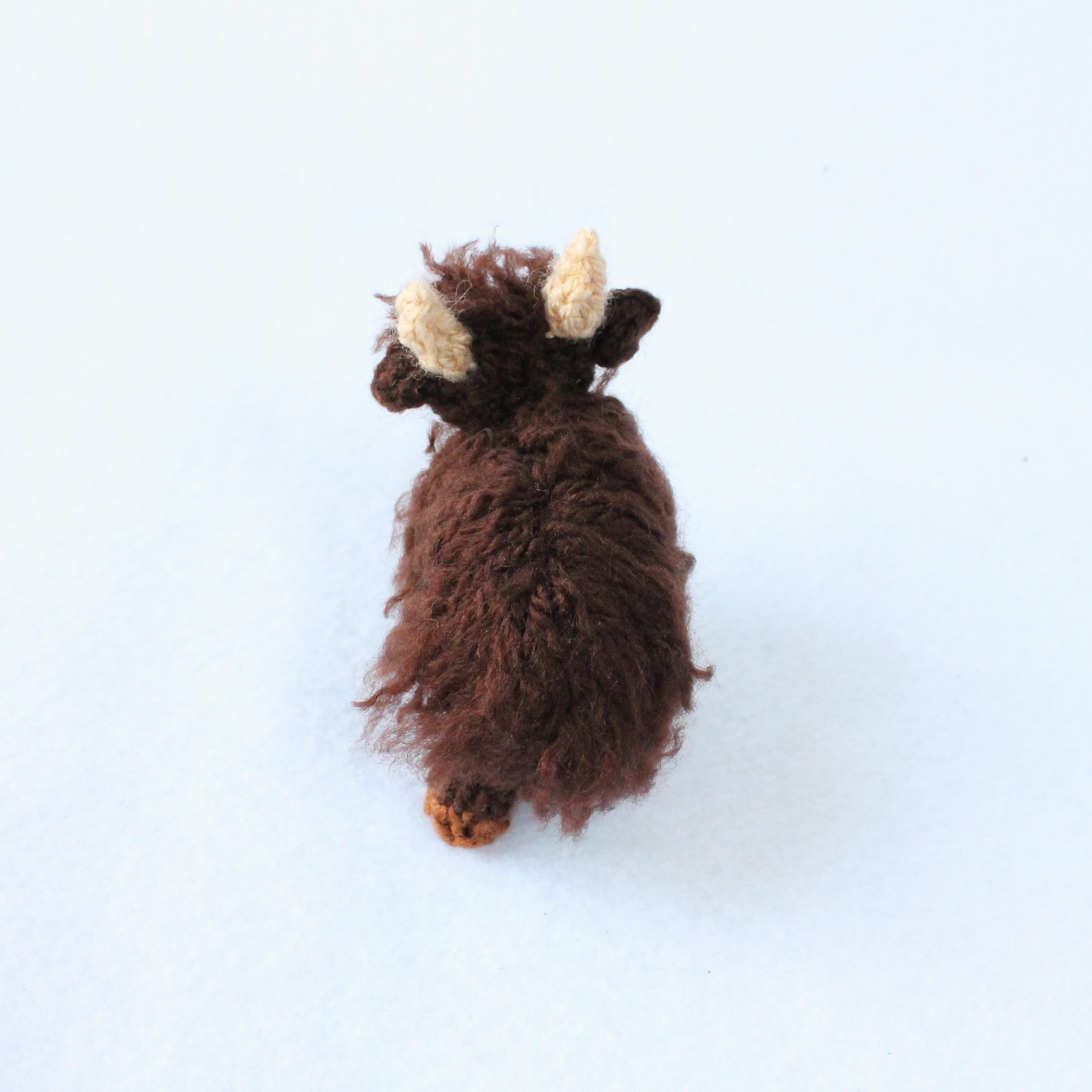 Mini Highland Cows