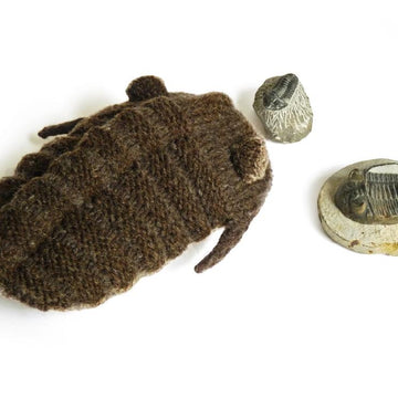 Trilobite