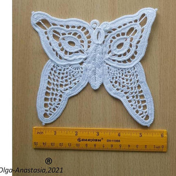 Butterfly 2