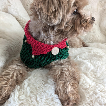 Elf Dog Knit Cowl
