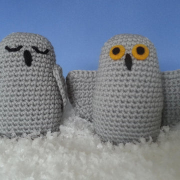Snowy Owls
