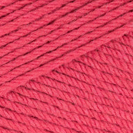 Rhubarb (457)