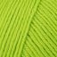 Wasabi (887)