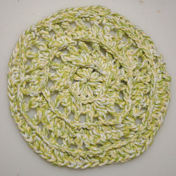 Paddle Wheel Dishcloth