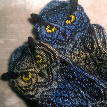 Owl Around