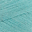 Spearmint (309)