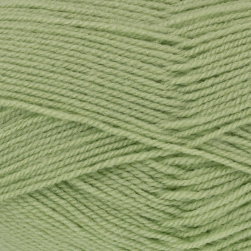 Avocado (3493)