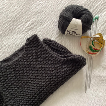 Simple Knitted Crop Vest Pattern