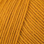 Mustard (2624)