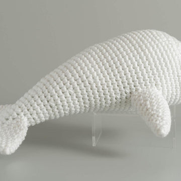 Betty the Beluga