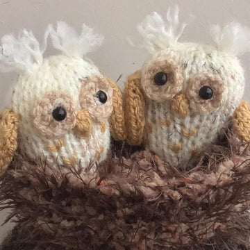 Owlets in the old oak tree