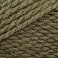 Kiwi (111)